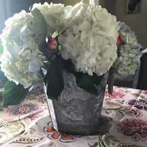 Meet your Posher, Marie